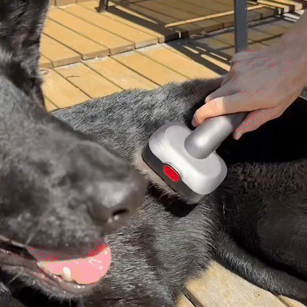 FurBuddie Pet Vacuum Brush